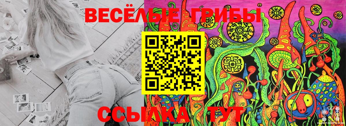 Галлюциногенные грибы MAGIC MUSHROOMS Гусиноозёрск